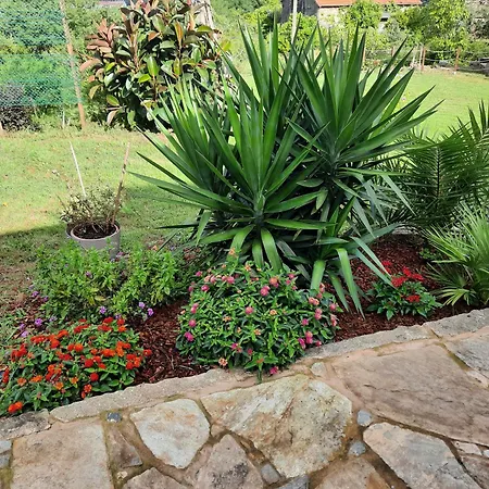 別荘 Casa Da Nogueira *