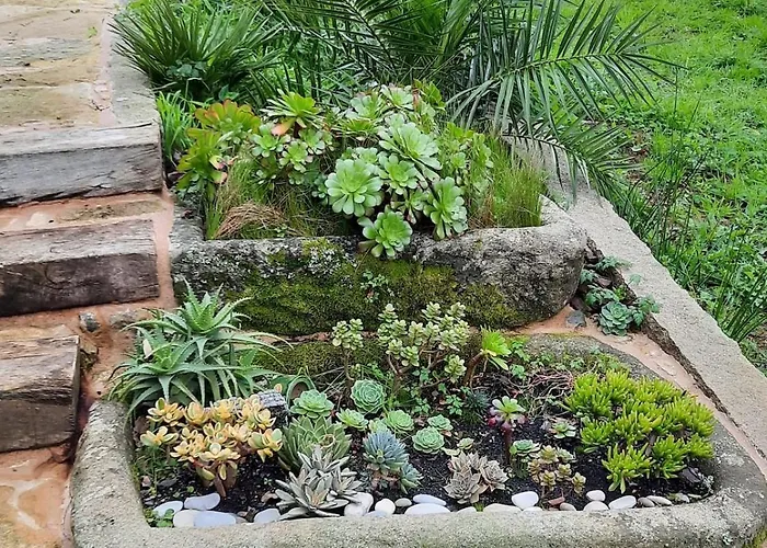 펜션 Casa Da Nogueira