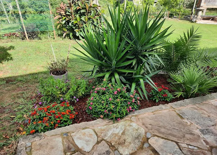 펜션 Casa Da Nogueira *